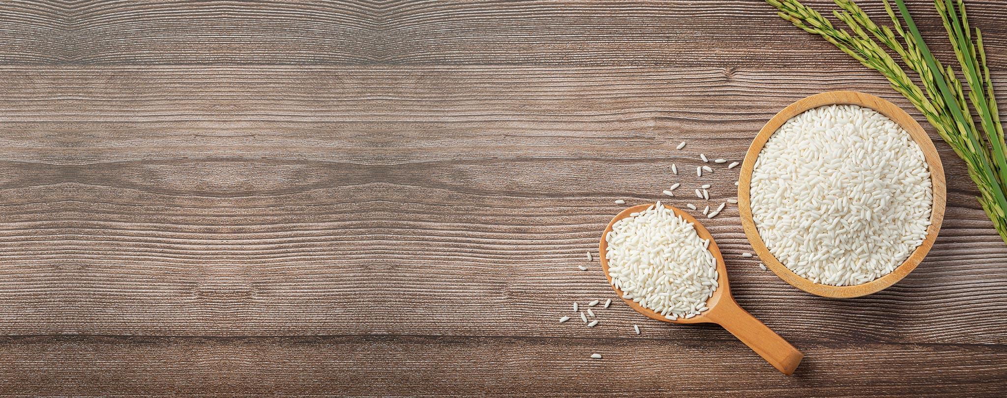rice-banner